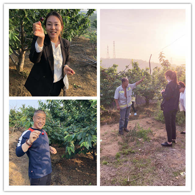 首页- 尊龙集团中国官网入口