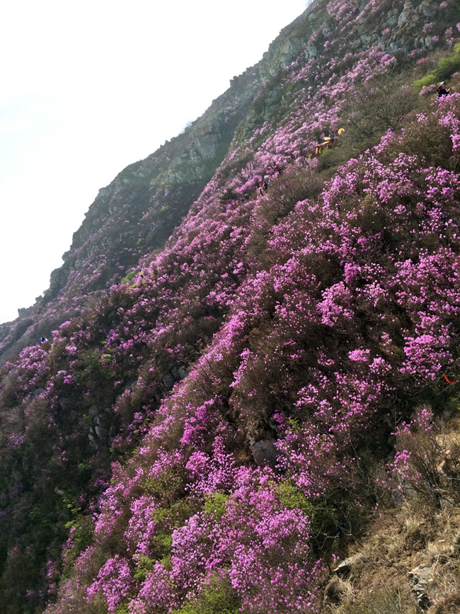 首页- 尊龙集团中国官网入口