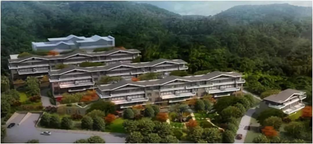 首页- 尊龙集团中国官网入口